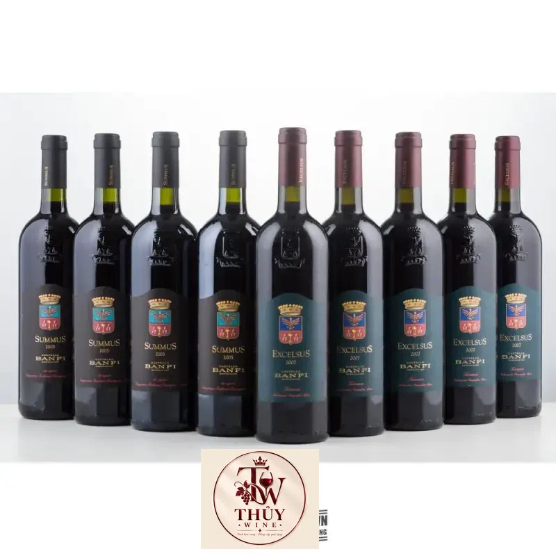 Địa chỉ bán vang y summus castello banfi giá rẻ tại Sài Gòn