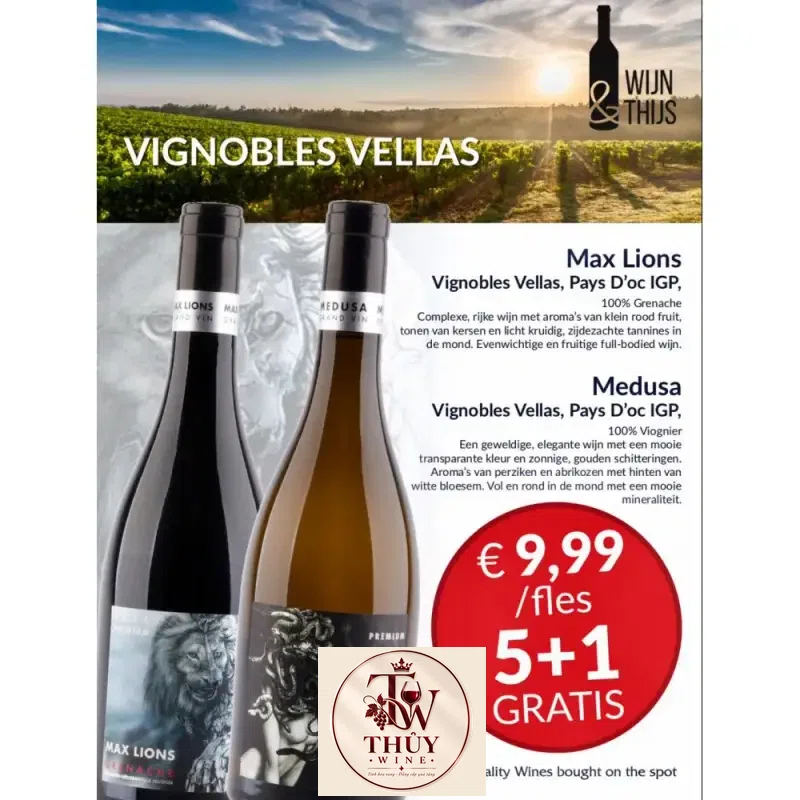 Mua vang phap medusa viognier igp premium hao hang ở đâu giá rẻ nhất