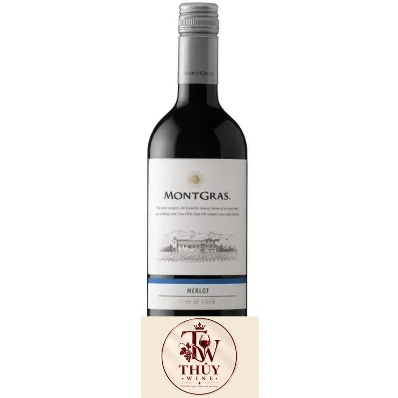Vang Chile MONTGRAS Merlot