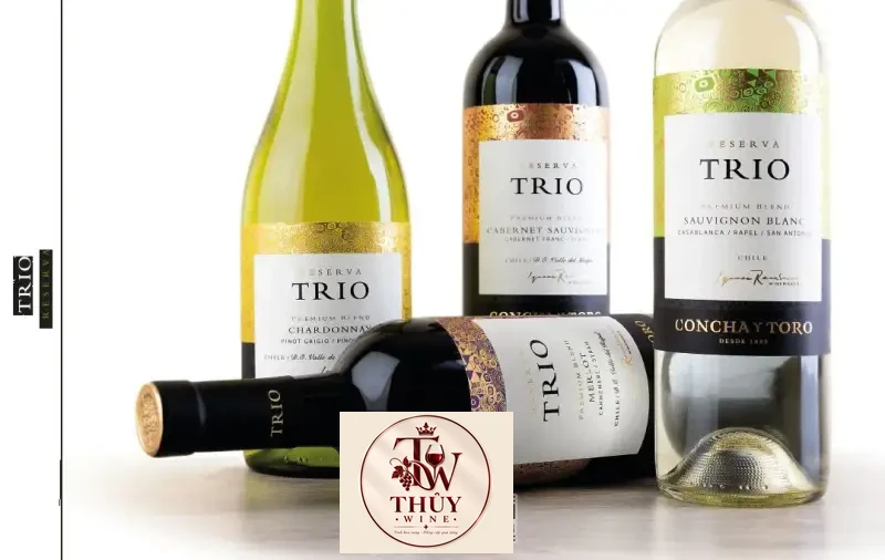 Vang Chile CONCHA Y TORO TRIO RESERVA MERLOT
