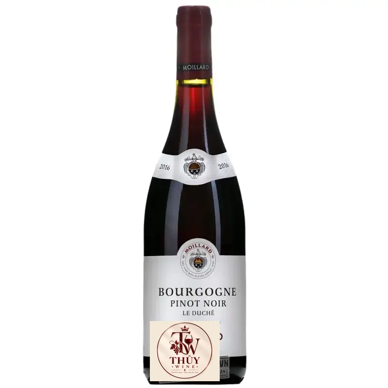 Vang Pháp Bourgogne Pinot Noir Moillard uống ngon