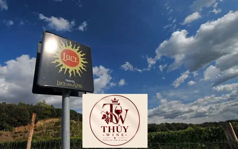Vang Ý LUCE DELLA VITE