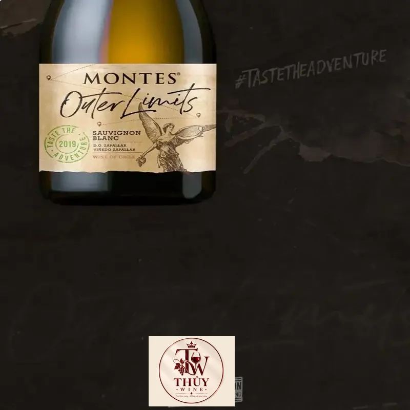 vang-chile-montes-outer-limits-sauvignon-blanc