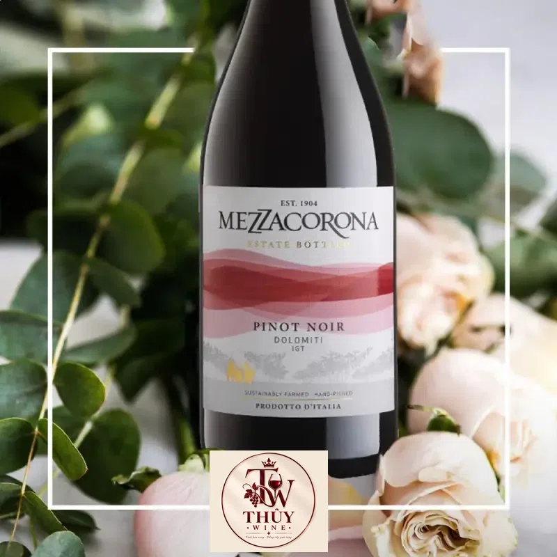 vang y mezzacorona pinot noir dolomiti igt giá bao nhiêu
