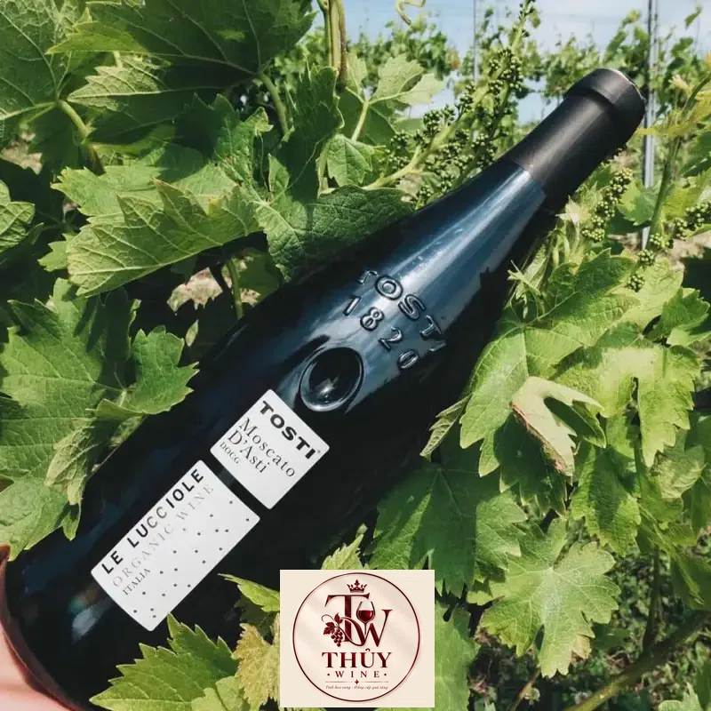 Giá ruou vang y tosti le luccione moscato dasti organic