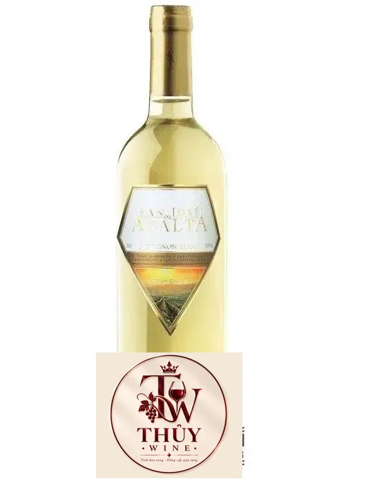 Vang Chile San Jose De Apalta Trandition Sauvignon Blanc