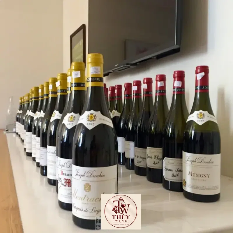 Rượu vang Montagny Premier Cru Joseph Drouhin