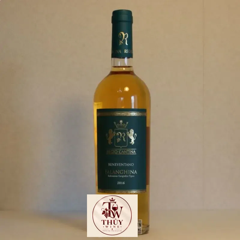 Vang Ý Regio Cantina Falanghina IGT Beneventano