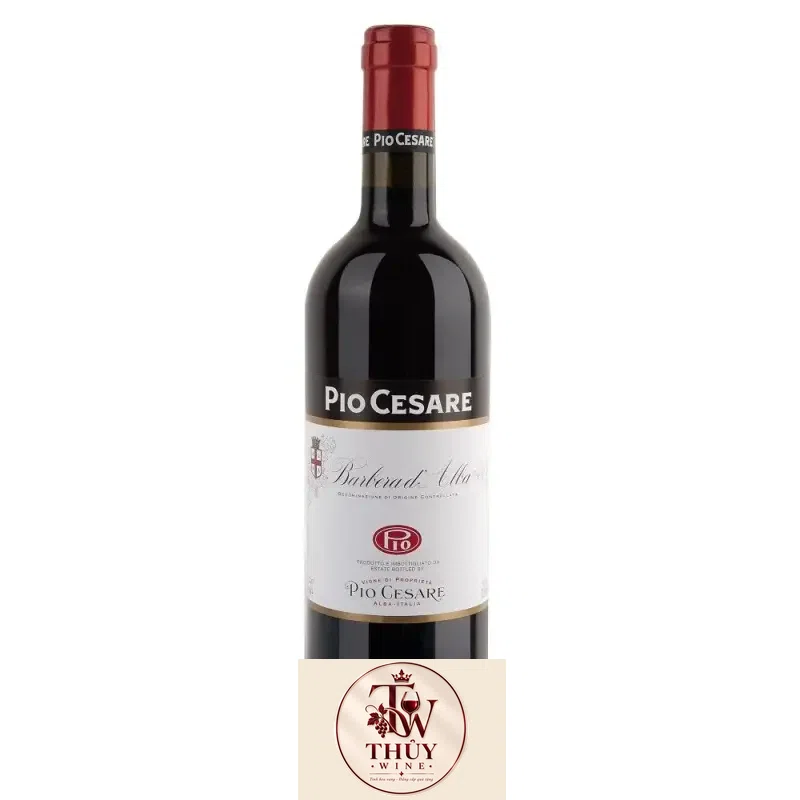 Rượu vang Pio Cesare Barbera d‘Alba