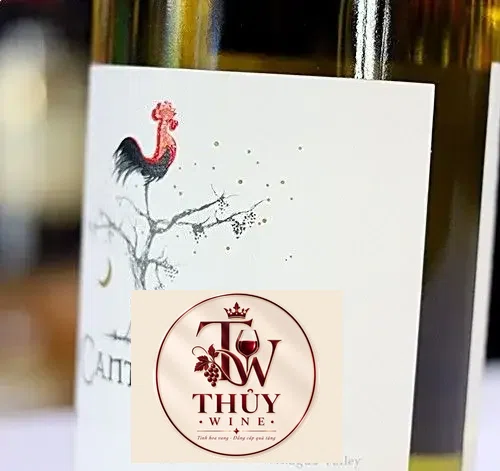 Vang Chile Cantoalba Chardonnay