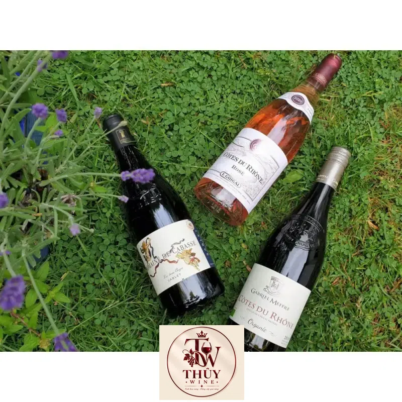 Địa chỉ bán vang phap cotes du rhone guigal rose giá rẻ nhất