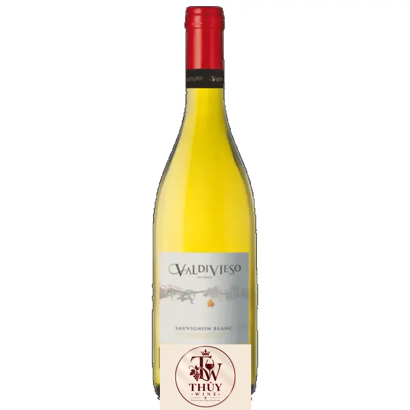 Vang Chile Valdivieso Winemaker Reserva Sauvignon Blanc