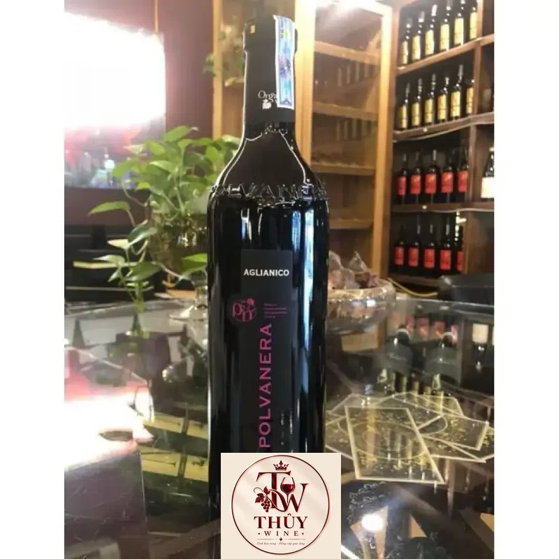 Rượu Vang Ý POLVANERA AGLIANICO