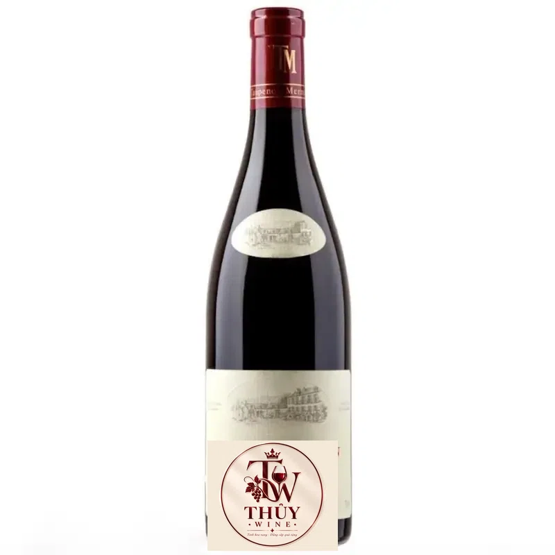 Vang Pháp Domaine Taupenot Merme Gevrey Chambertin