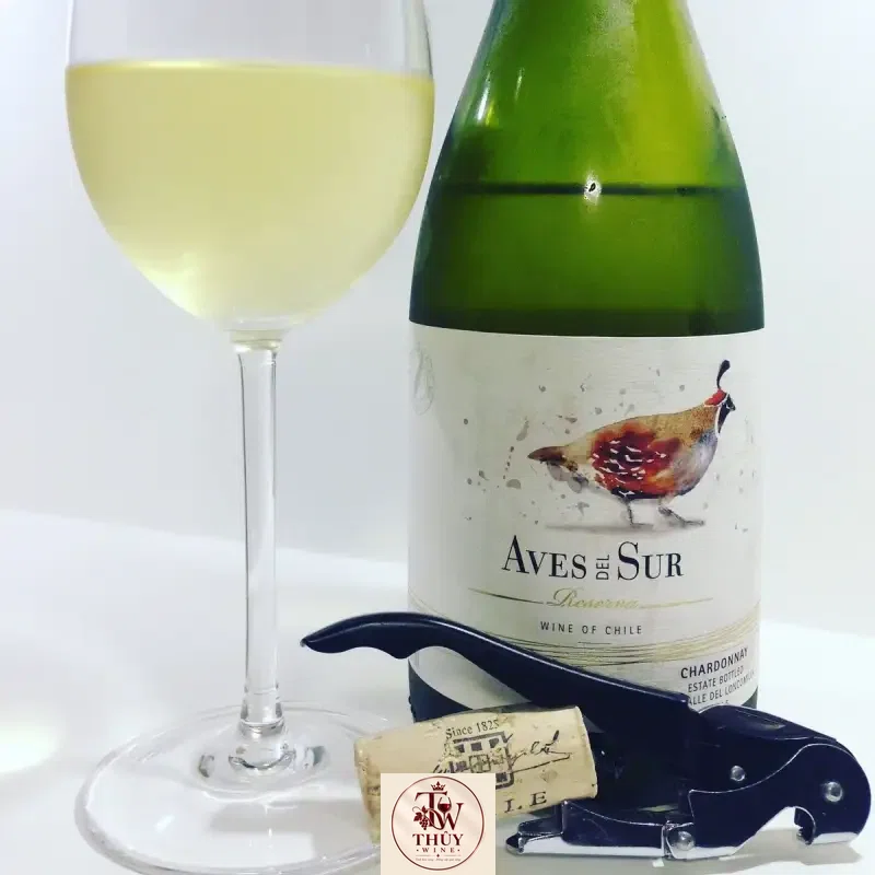 Vang Chile AVES DEL SUR RESERVA CHARDONNAY