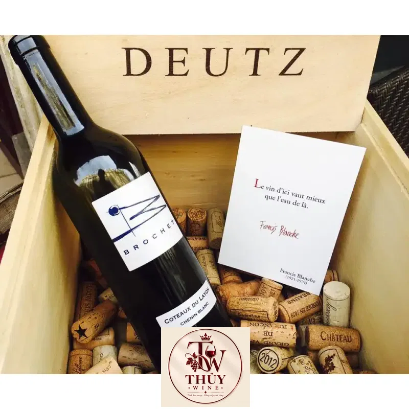 Mua vang phap brochet coteaux du layon chenin blanc ở đâu giá rẻ nhất