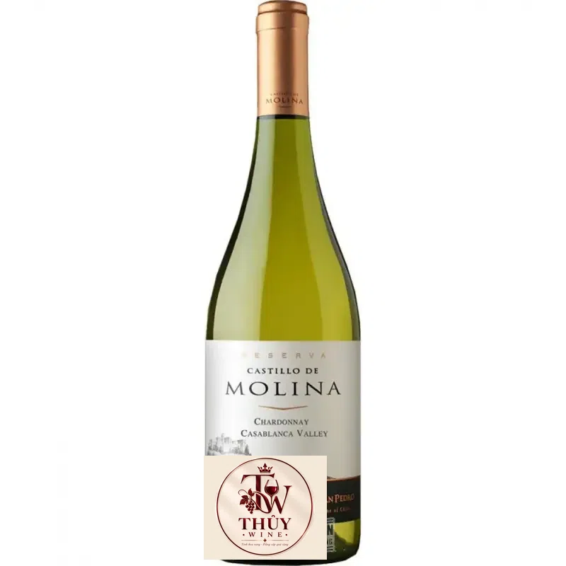 Vang Chile Castillo de Molina Reserva Chardonnay Chiết khấu cao