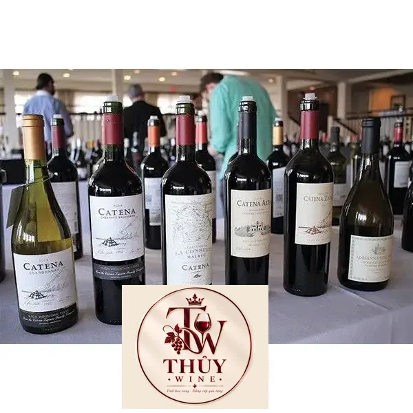 Catena Alta Cabernet Sauvignon Malbec
