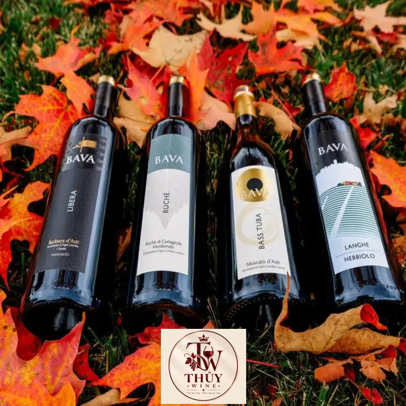 Địa chỉ bán vang y bava libera barbera dasti giá rẻ tại Sài Gòn