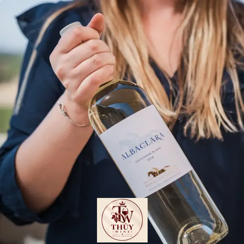 Mua vang chile albaclara haras de pirque sauvignon blanc giá rẻ tại Sài Gòn