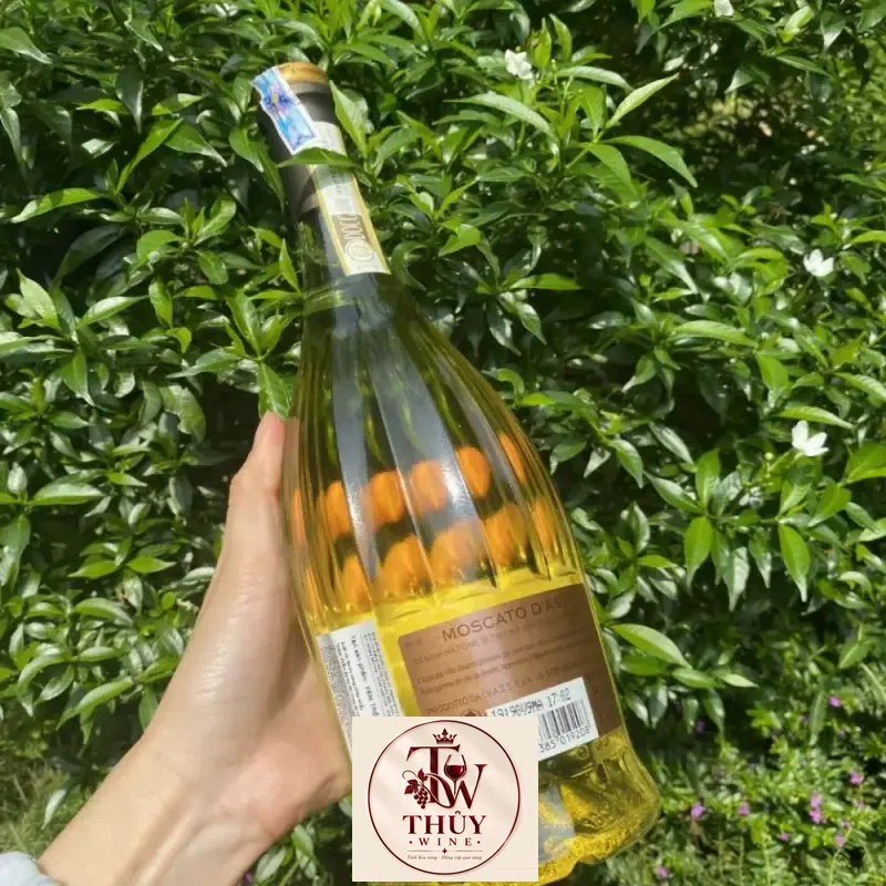 Địa chỉ bán ruou vang villa jolanda moscato dasti giá rẻ nhất
