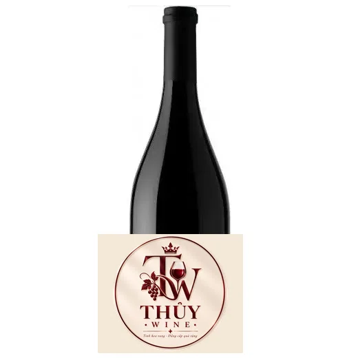 Vang Chile OCIO Cono Sur Pinot Noir