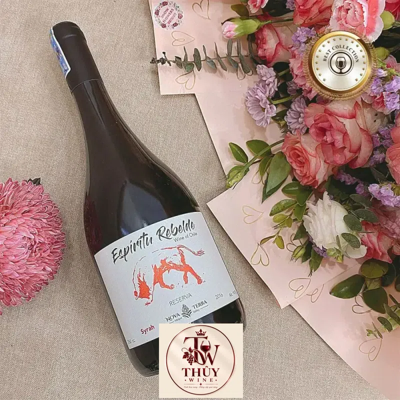 Vang Chile Espiritu Rebelde Syrah Reserva