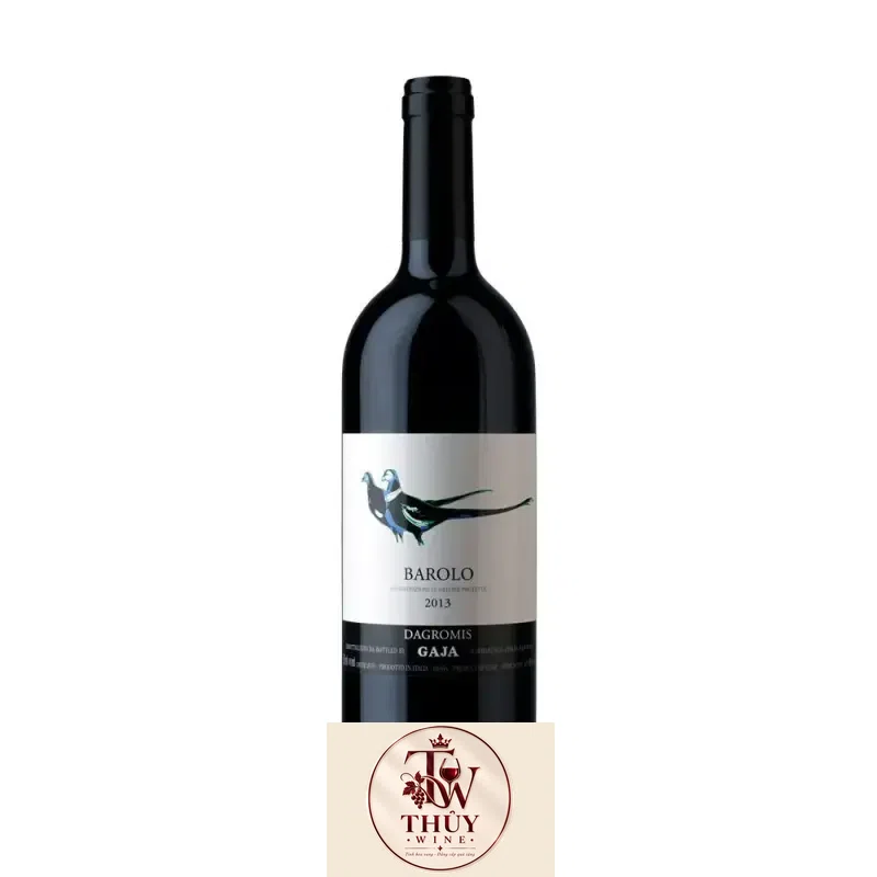 Vang Ý Barolo Dagromis Gaja