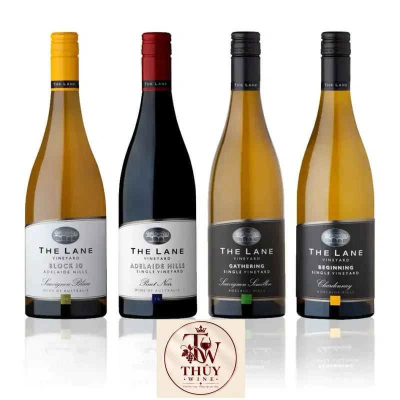 Mua ruou vang beginning the lane vineyard chardonnay chiet khau cao giá rẻ tại Hà Nội
