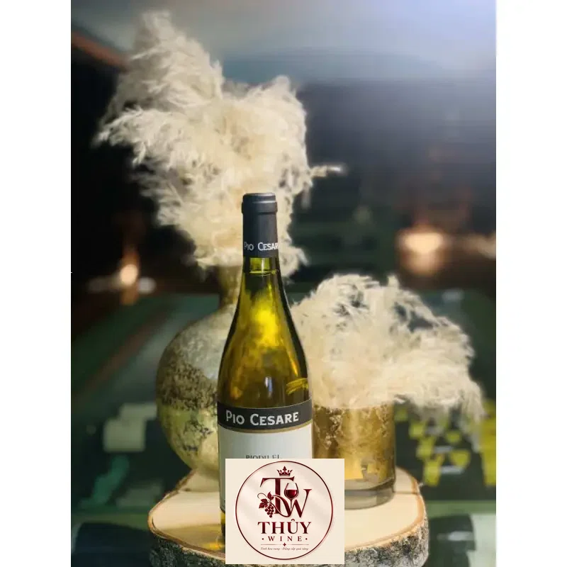 Mua vang y pio cesare piodilei chardonnay giá rẻ tại Sài Gòn