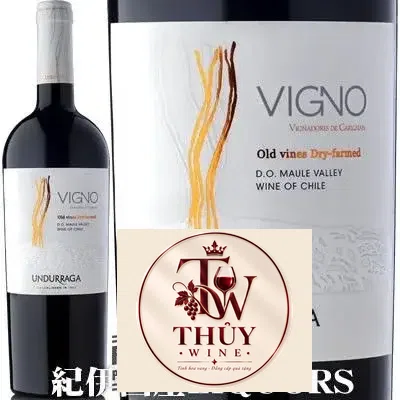 Vang Chile VIGNO UNDURRAGA