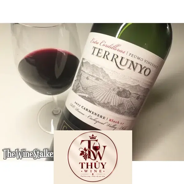 Vang Chile Terrunyo Carmenere Block 27 Concha Y Toro