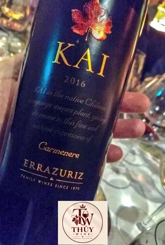 Kết quả hình ảnh cho kai carmenere errazuriz 2016