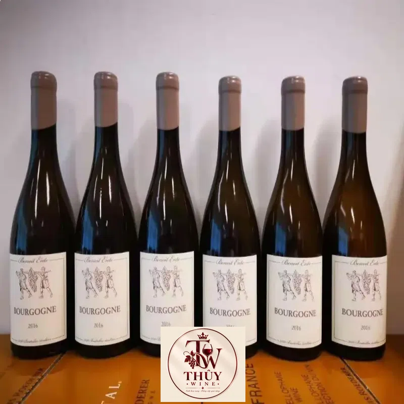 Mua vang phap bourgogne chardonnay benoit ente giá rẻ tại Sài Gòn