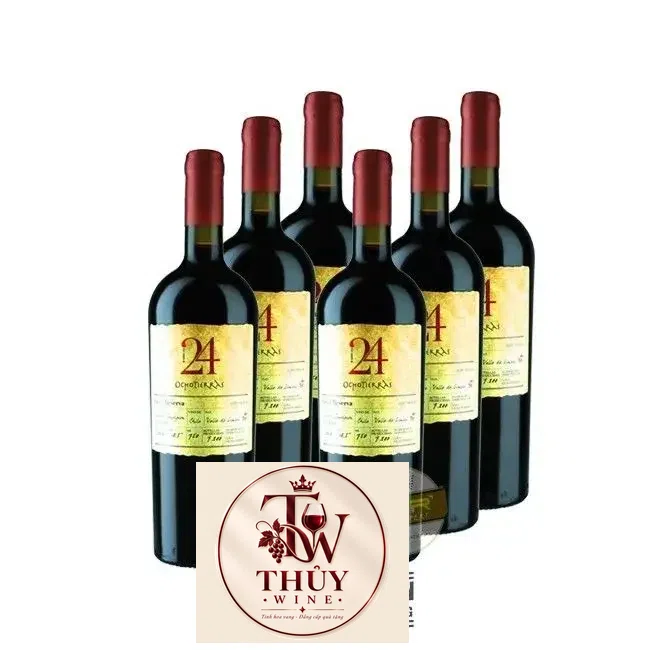 Vang Chile OCHO TIERRAS 24 Gran Reserva Cabernet Sauvignon