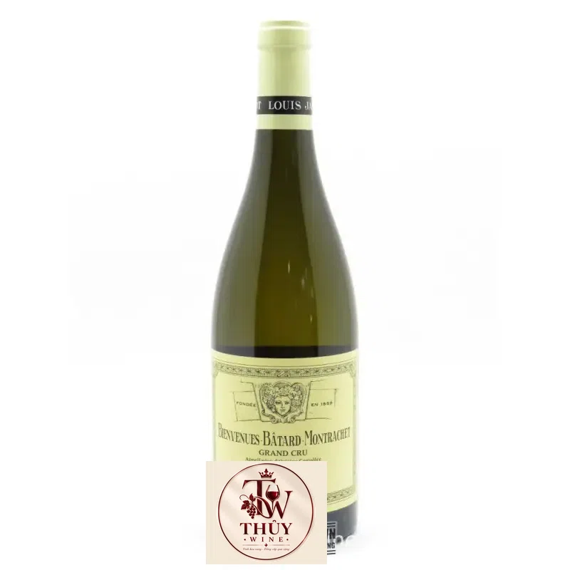 Vang Pháp Bienvenues Batard Montrachet Louis Jadot uống ngon