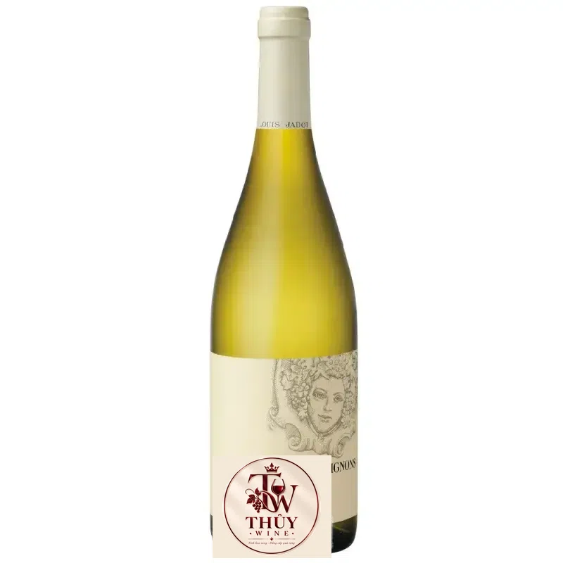 Vang Pháp Coteaux Bourguignon Louis Jadot uống ngon
