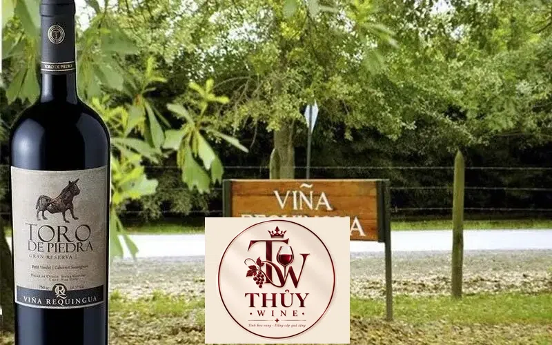 Kết quả hình ảnh cho toro de piedra cabernet sauvignon