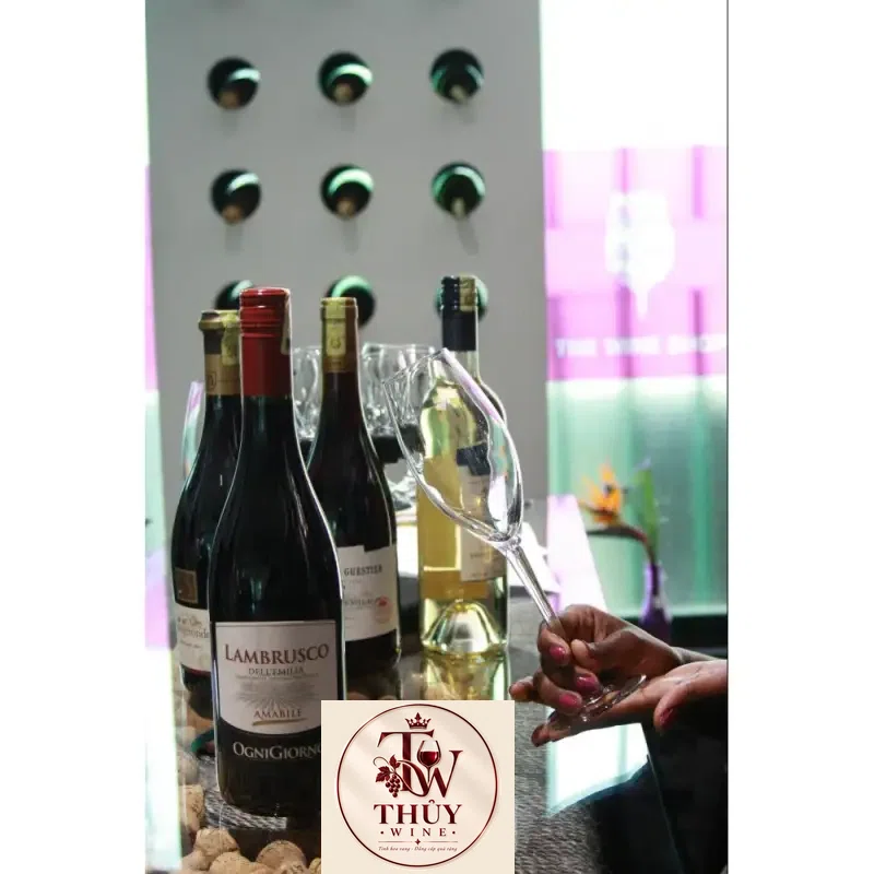 Địa chỉ bán vang y lambrusco dell emilia ogni giorno giá rẻ tại Sài Gòn