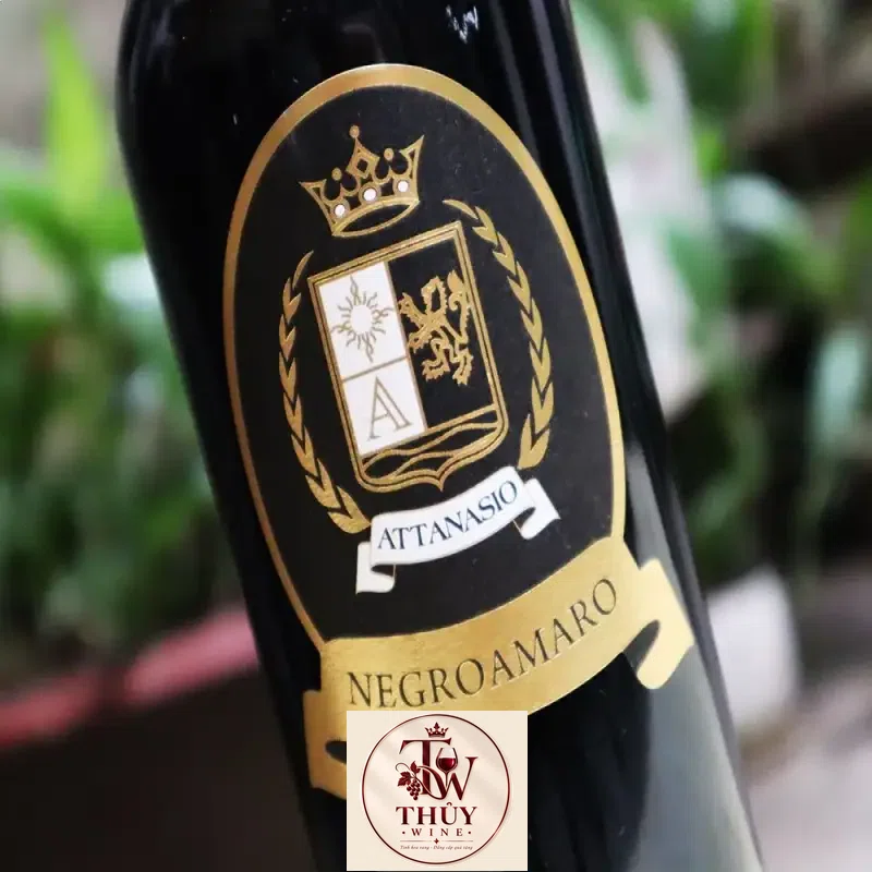vang-y-attanasio-negroamaro