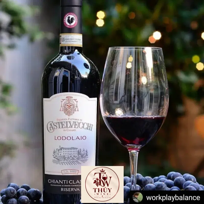 Giá vang y castelvecchi lodolaio chianti classico riserva