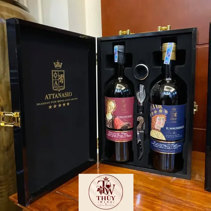 vang-y-fortitudo-attanasio