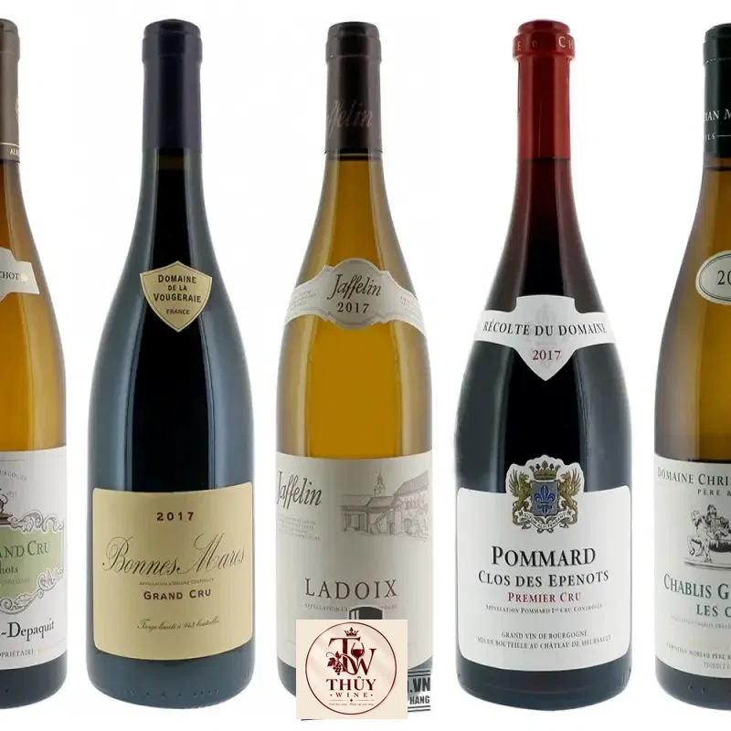 Địa chỉ mua vang phap bonnes mares grand cru albert bichot giá rẻ nhất