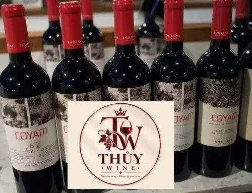 Vang Chile COYAM EMILIANA