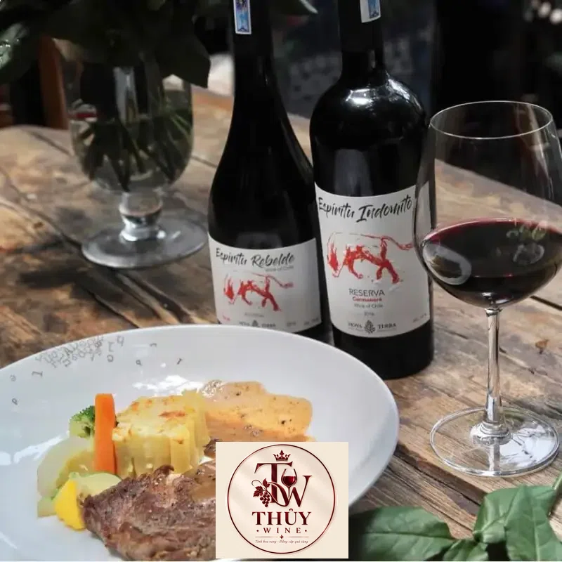 Mua vang chile espiritu rebelde syrah reserva giá rẻ tại Sài Gòn