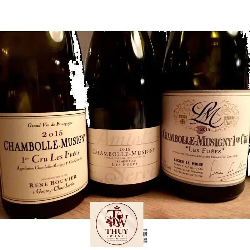 Địa chỉ mua vang phap chambolle musigny les fuees louis jadot giá rẻ nhất