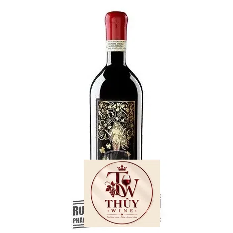 Vang Ý AMARONE MATER