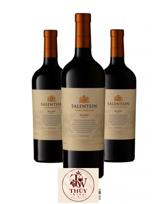 Vang Argentina SALENTEIN Barrel Selection Malbec