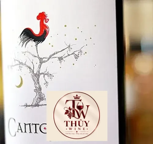 Vang Chile Cantoalba Malbec