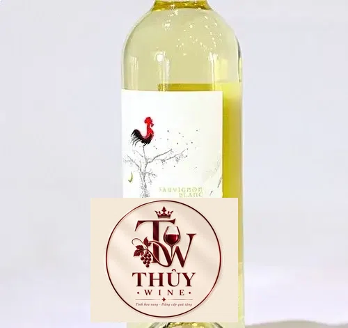 Vang Chile Cantoalba Sauvignon Blanc